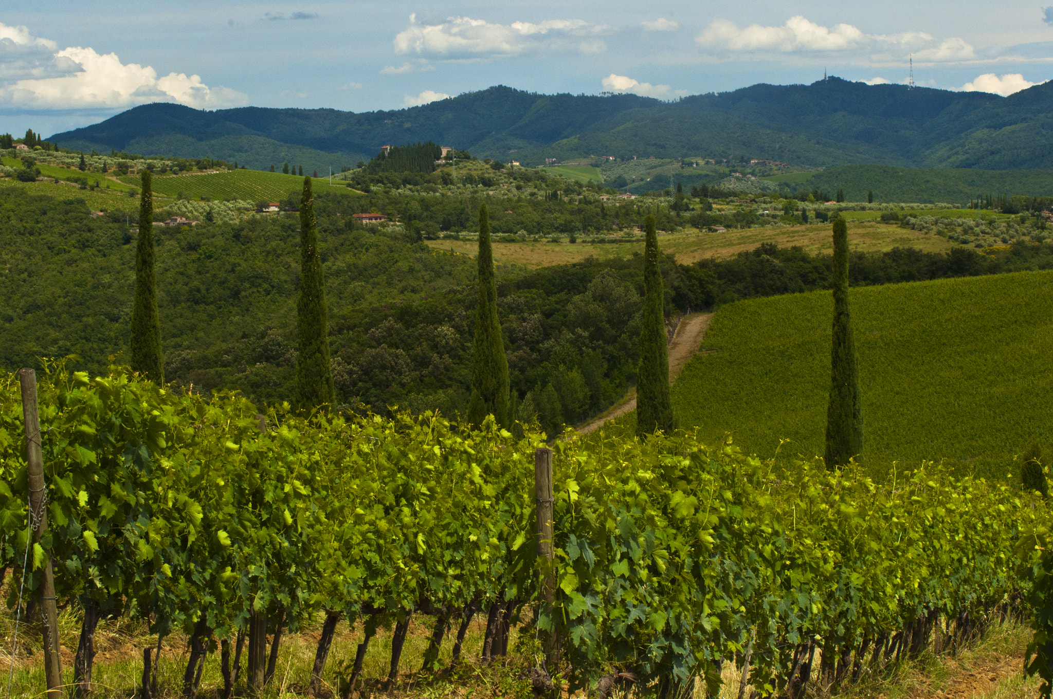 Nikon D90 sample photo. Tuscan wine photography