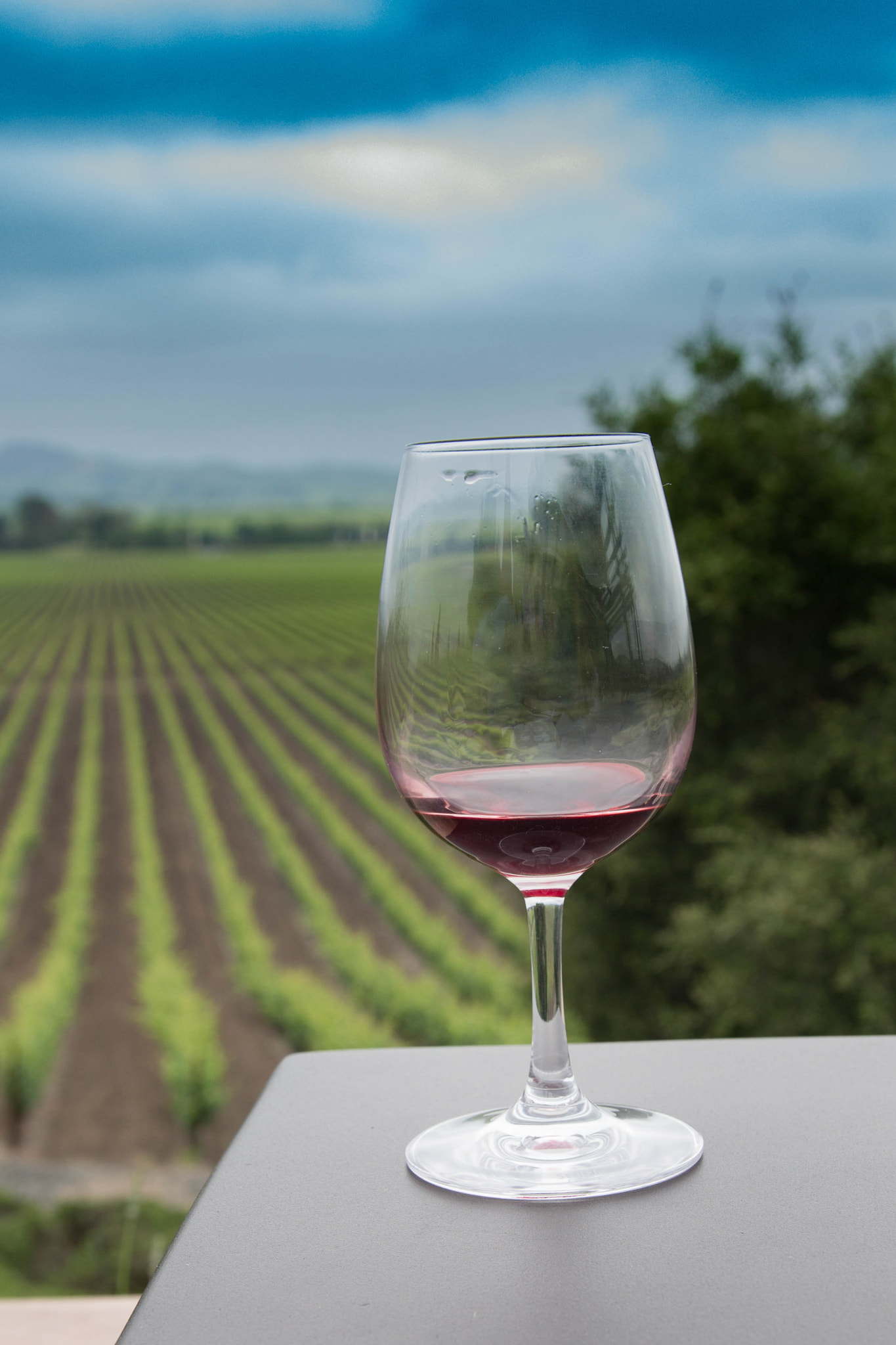 Sigma 18-35mm f/1.8 DC HSM sample photo. Red wine photography