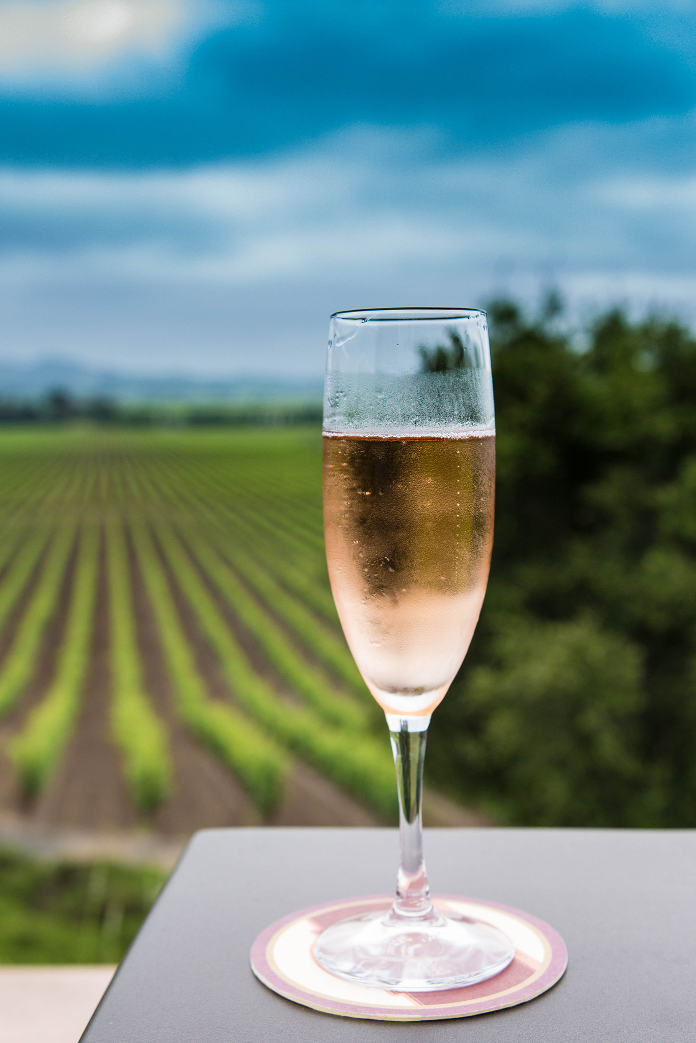 Sigma 18-35mm f/1.8 DC HSM sample photo. Champagne photography