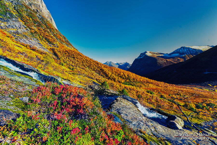 Sigma 12-24mm F4.5-5.6 II DG HSM sample photo. Autumn in the alps of sunnmøre photography