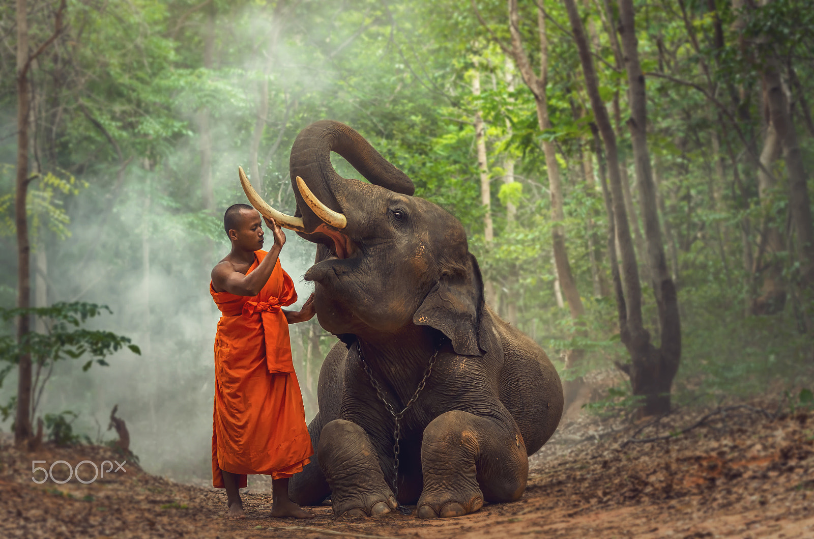 Pentax K-5 IIs sample photo. Monk with elephant in the deep forest background photography