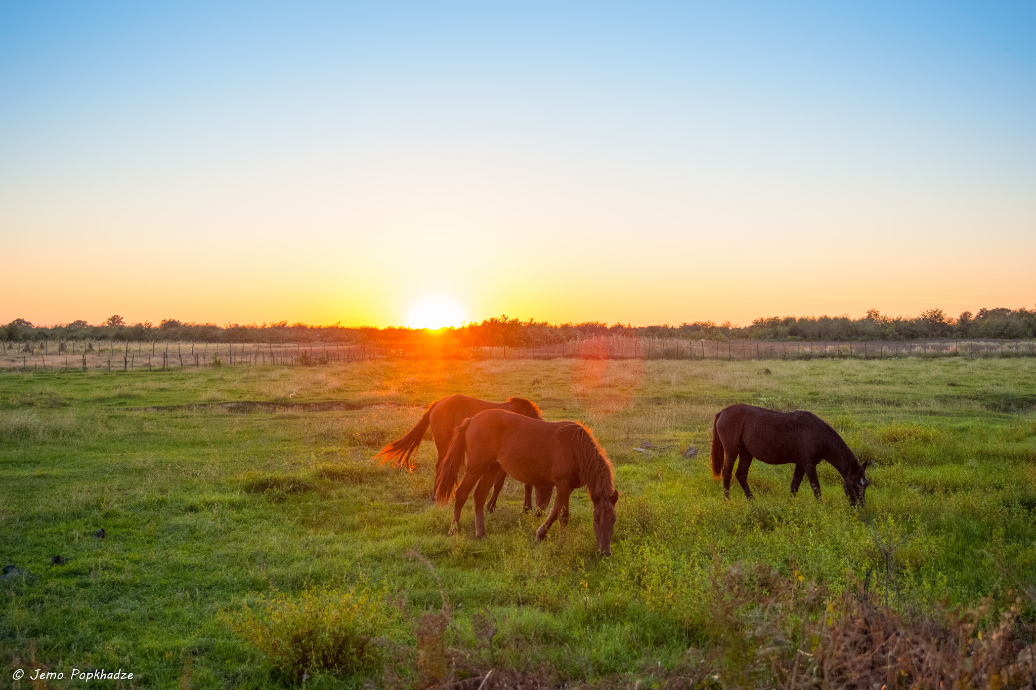 AF Zoom-Nikkor 28-70mm f/3.5-4.5D sample photo. Sunset in village photography