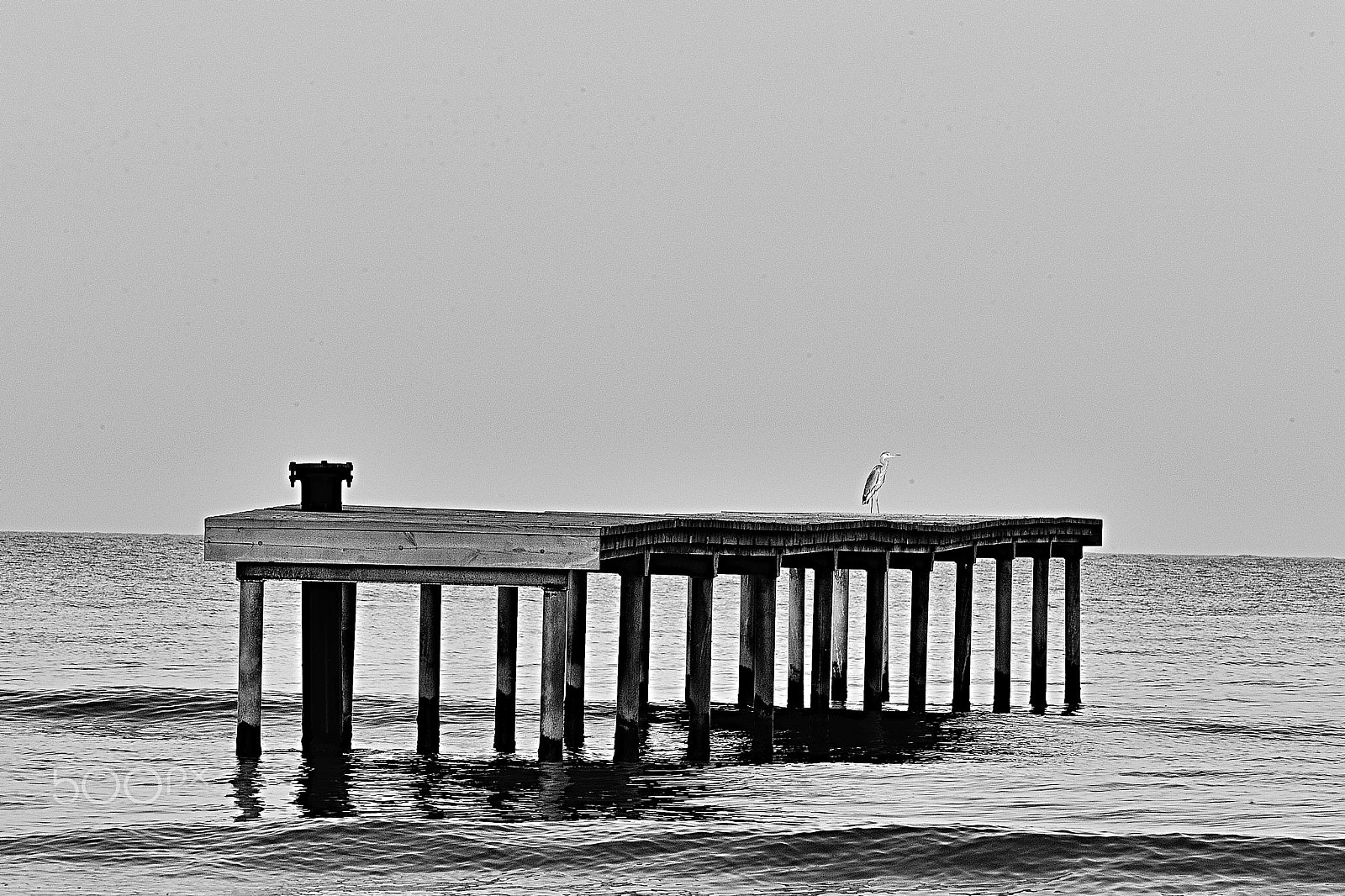 Nikon AF-S Nikkor 70-200mm F4G ED VR sample photo. Pontile photography