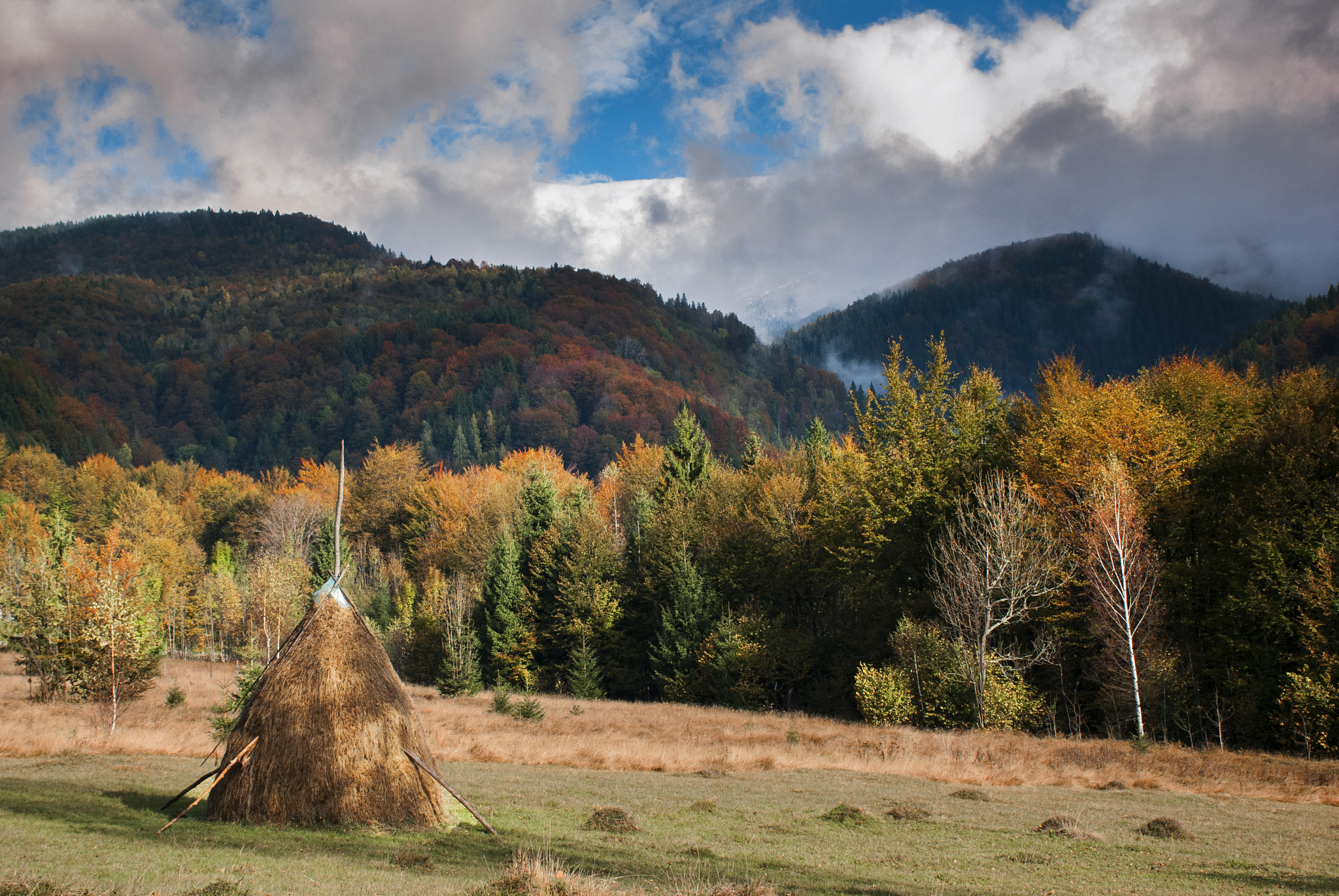 Nikon D80 sample photo. Autumn photography