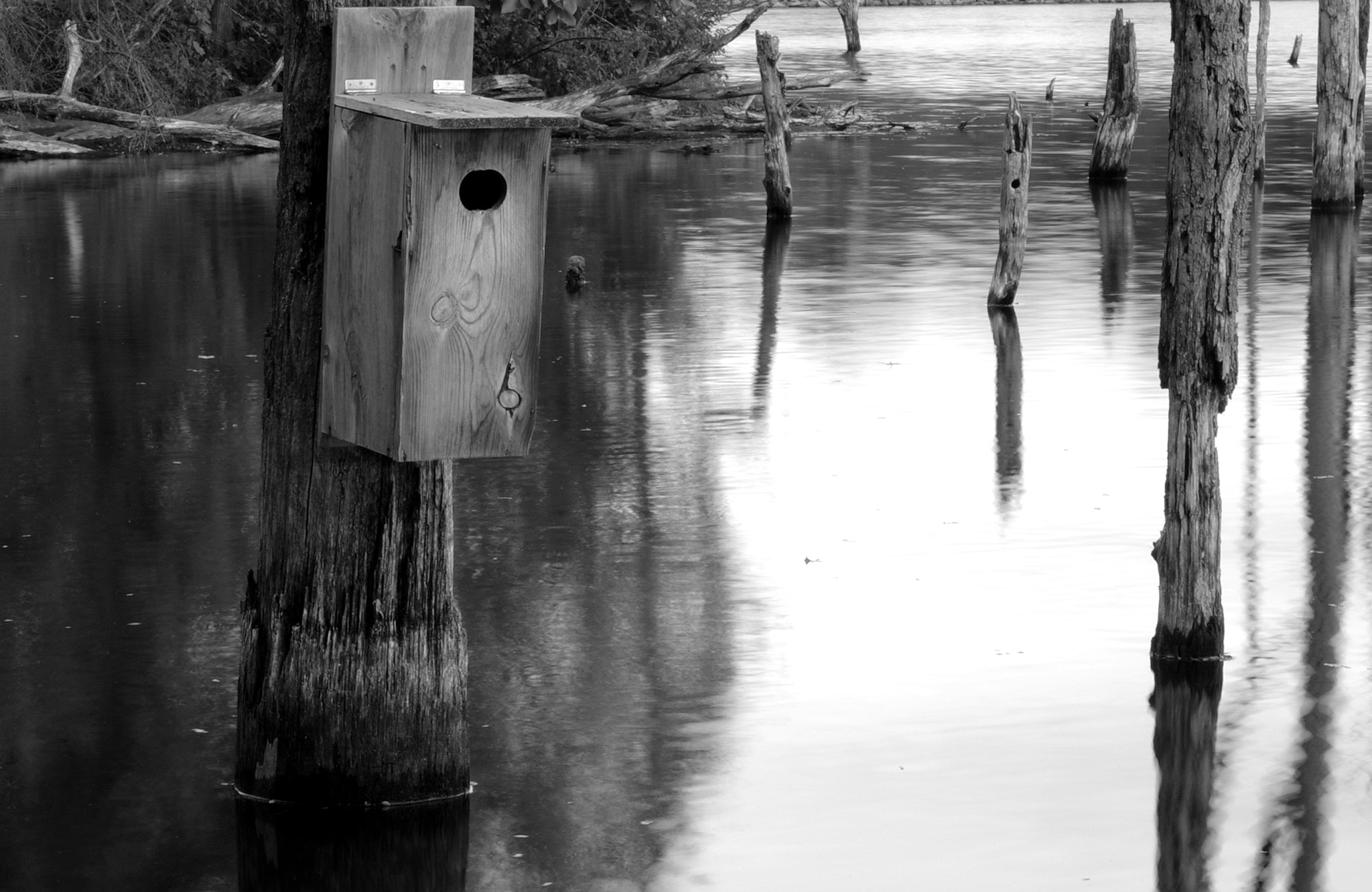 Pentax K-S2 sample photo. Habitat photography