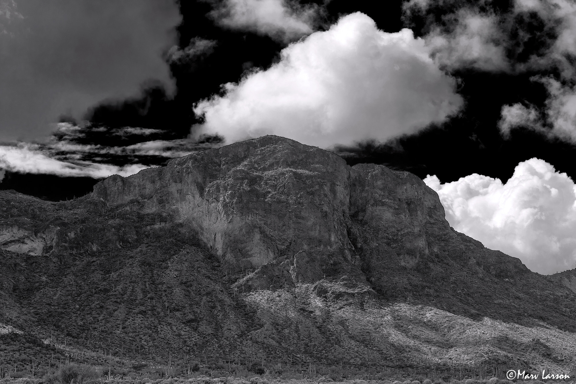 Sigma 50mm F1.4 EX DG HSM sample photo. Southern arizona landscape photography