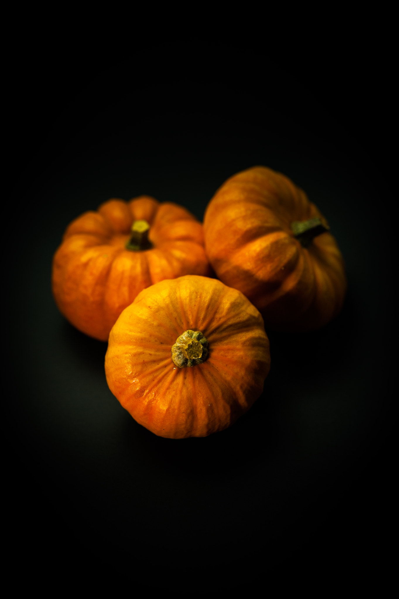 Sigma 105mm F2.8 EX DG OS HSM sample photo. Little jack 2 photography
