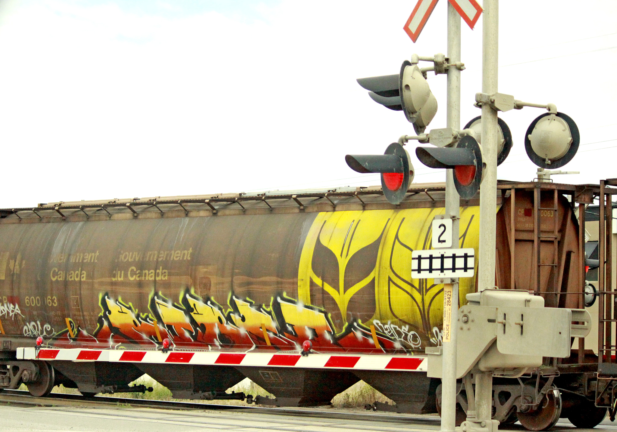 Canon EF-S 55-250mm F4-5.6 IS sample photo. Grain train photography