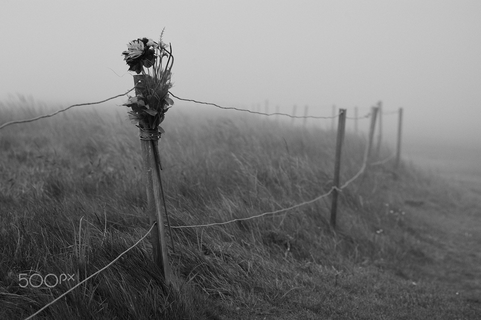 Pentax K10D sample photo. Foggy day photography