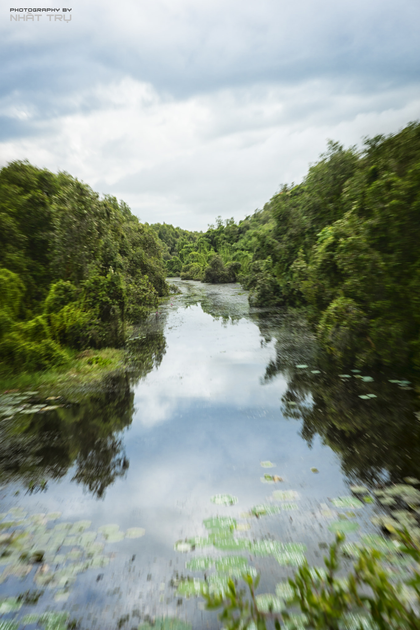 Sony ILCA-77M2 sample photo. Indigo forest in southern of vietnam photography