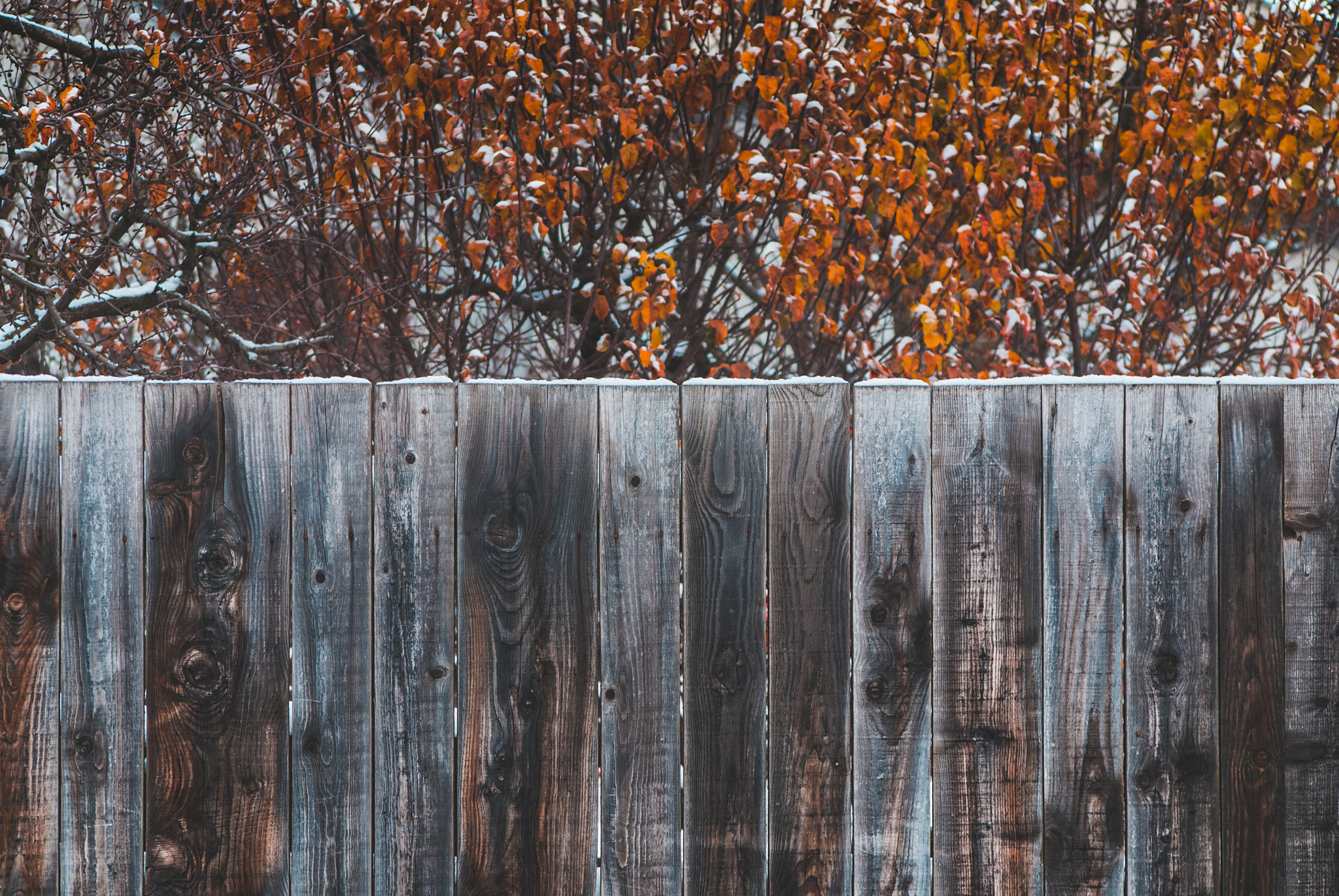Nikon D80 sample photo. Novi sad photography