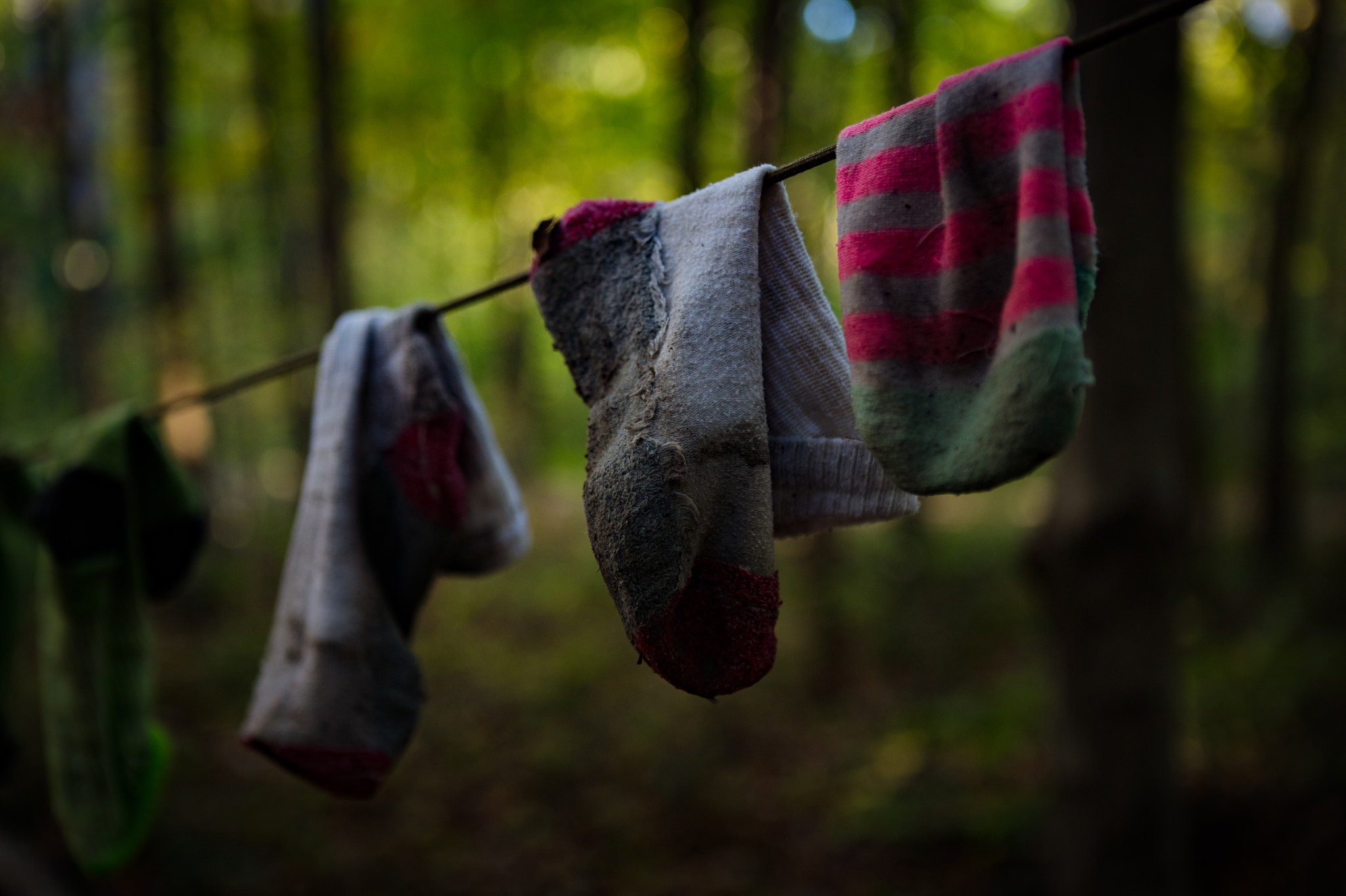 Canon EOS 5DS + Canon EF 24-70mm F2.8L USM sample photo. Dirty socks backpacking photography