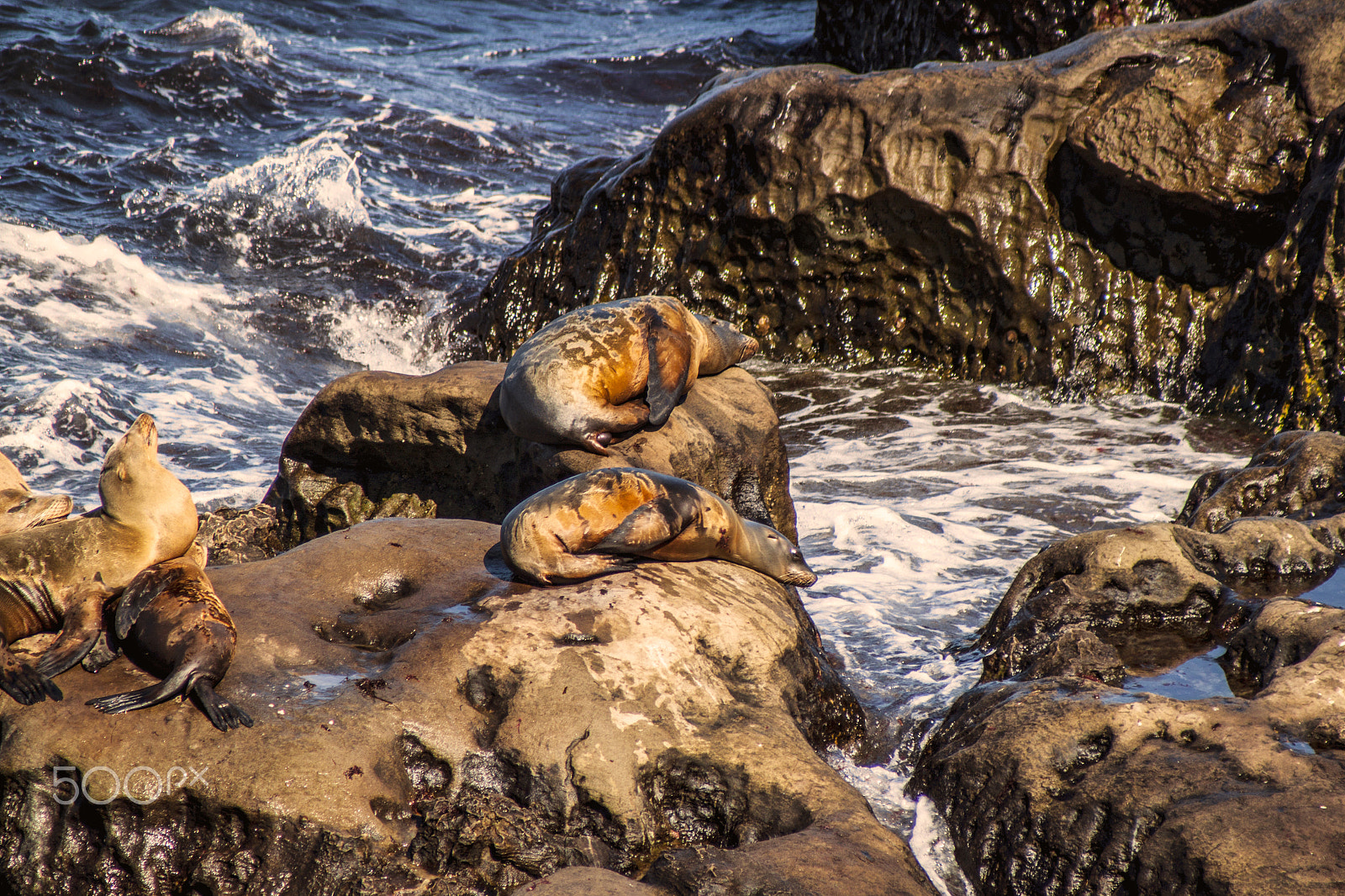 Canon EF 100-300mm F4.5-5.6 USM sample photo. La jolla cove photography