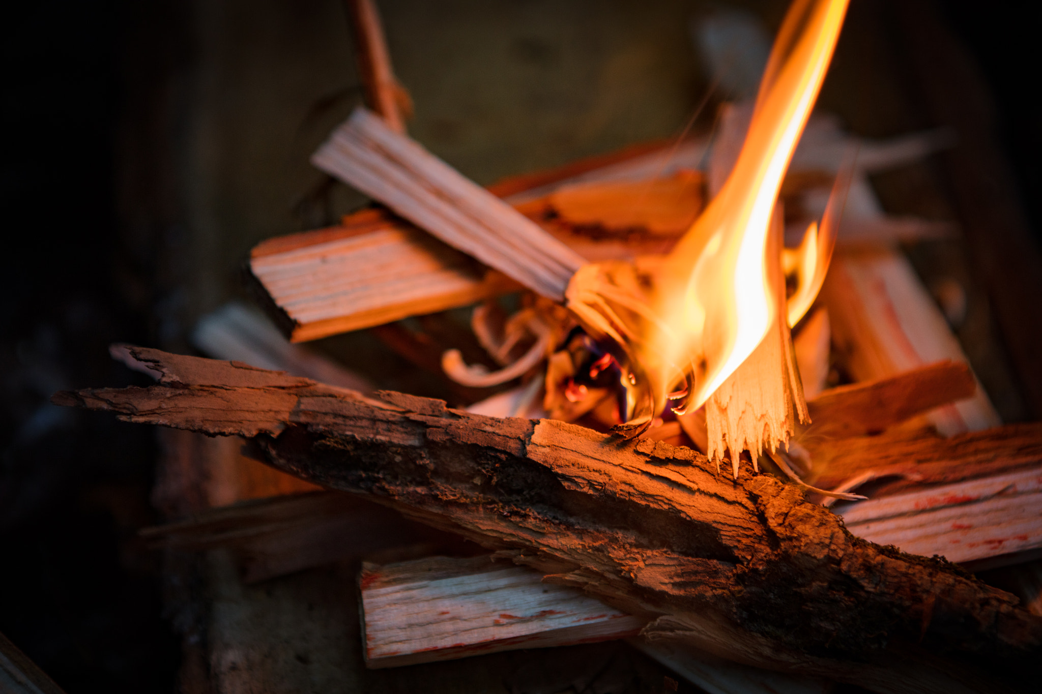 Canon EOS 5DS + Canon EF 24-70mm F2.8L USM sample photo. Starting a camp fire photography