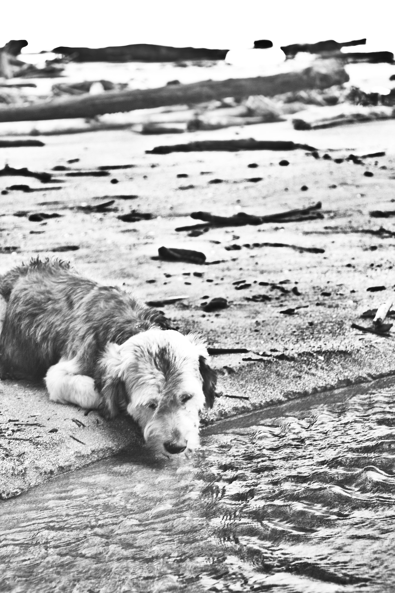Canon EOS 550D (EOS Rebel T2i / EOS Kiss X4) sample photo. Con sed photography