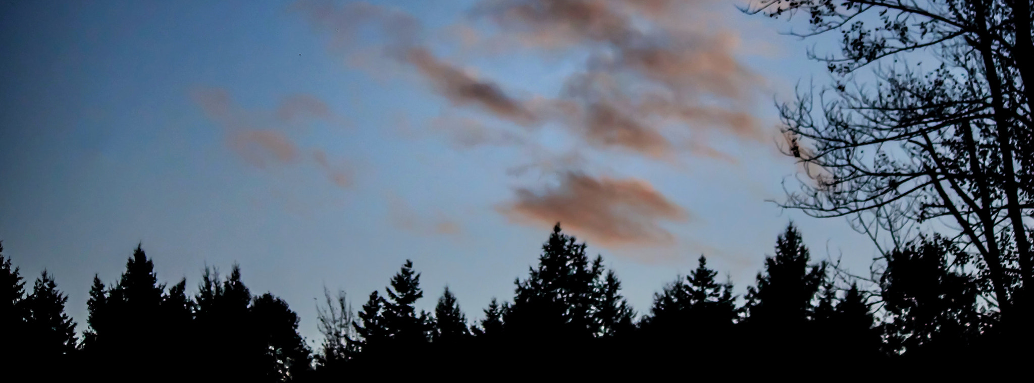 Canon EF-S 55-250mm F4-5.6 IS II sample photo. At the top photography