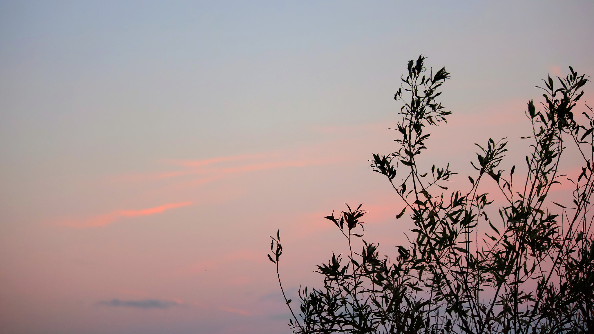 Canon EF-S 55-250mm F4-5.6 IS II sample photo. Fresh air photography
