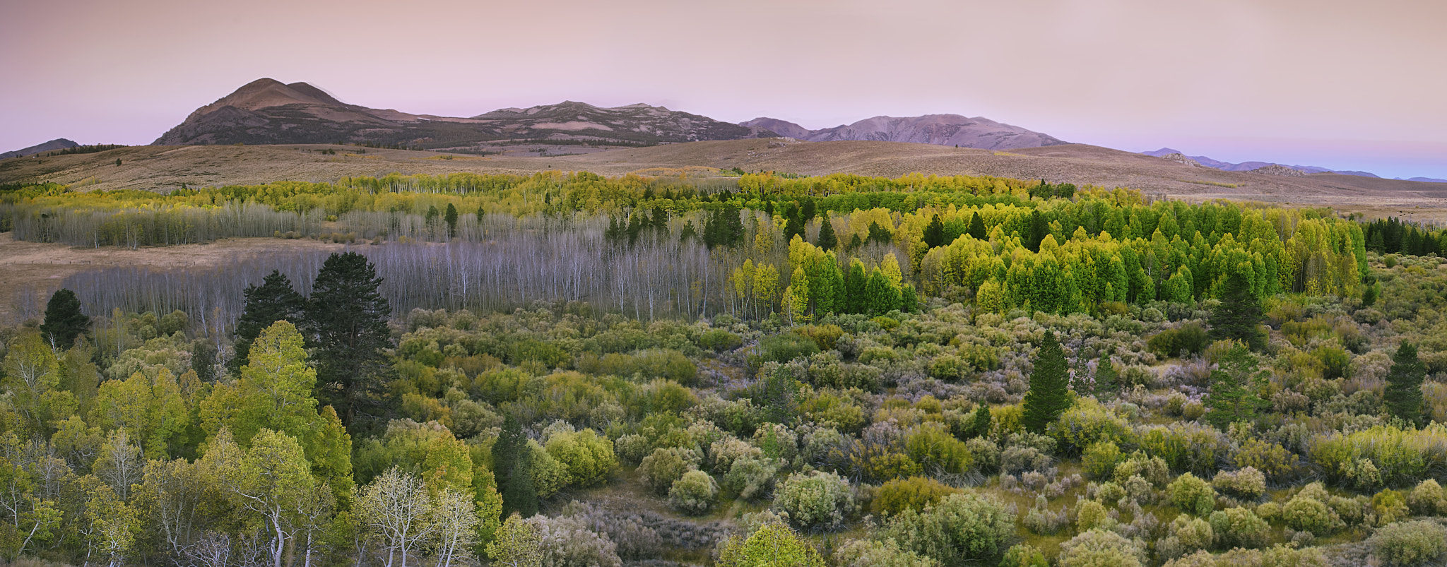 Sony a7R II + Canon EF 24-70mm F4L IS USM sample photo. Time for fall colors... photography