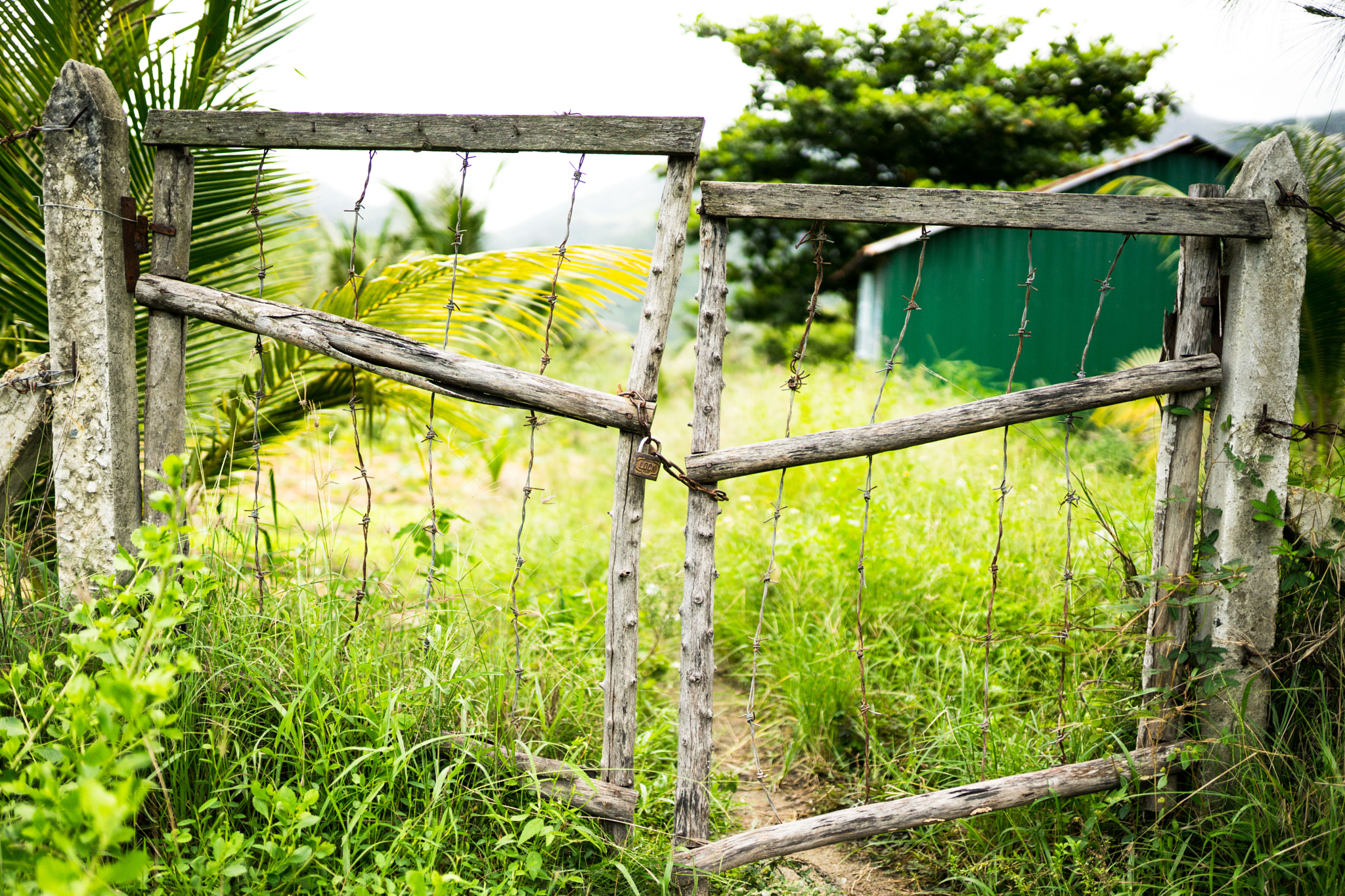 Sigma 35mm F1.4 DG HSM Art sample photo. Gate photography