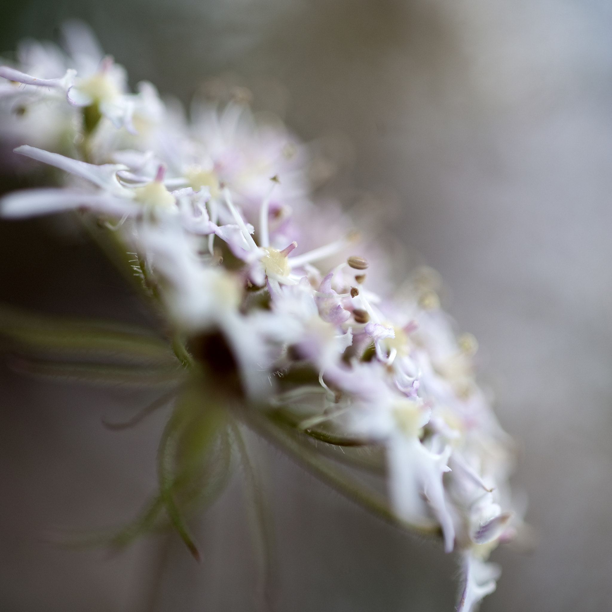 Nikon D3 sample photo