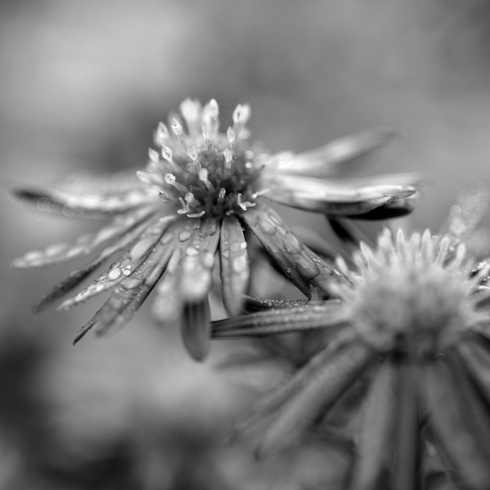 Nikon D3 sample photo