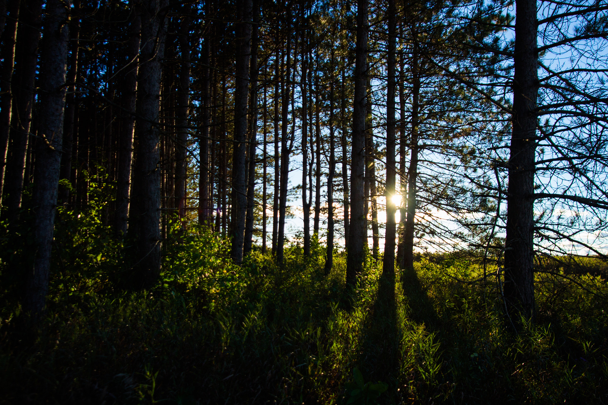 Sigma 17-35mm f/2.8-4 EX DG Aspherical HSM sample photo. Through the shadows photography