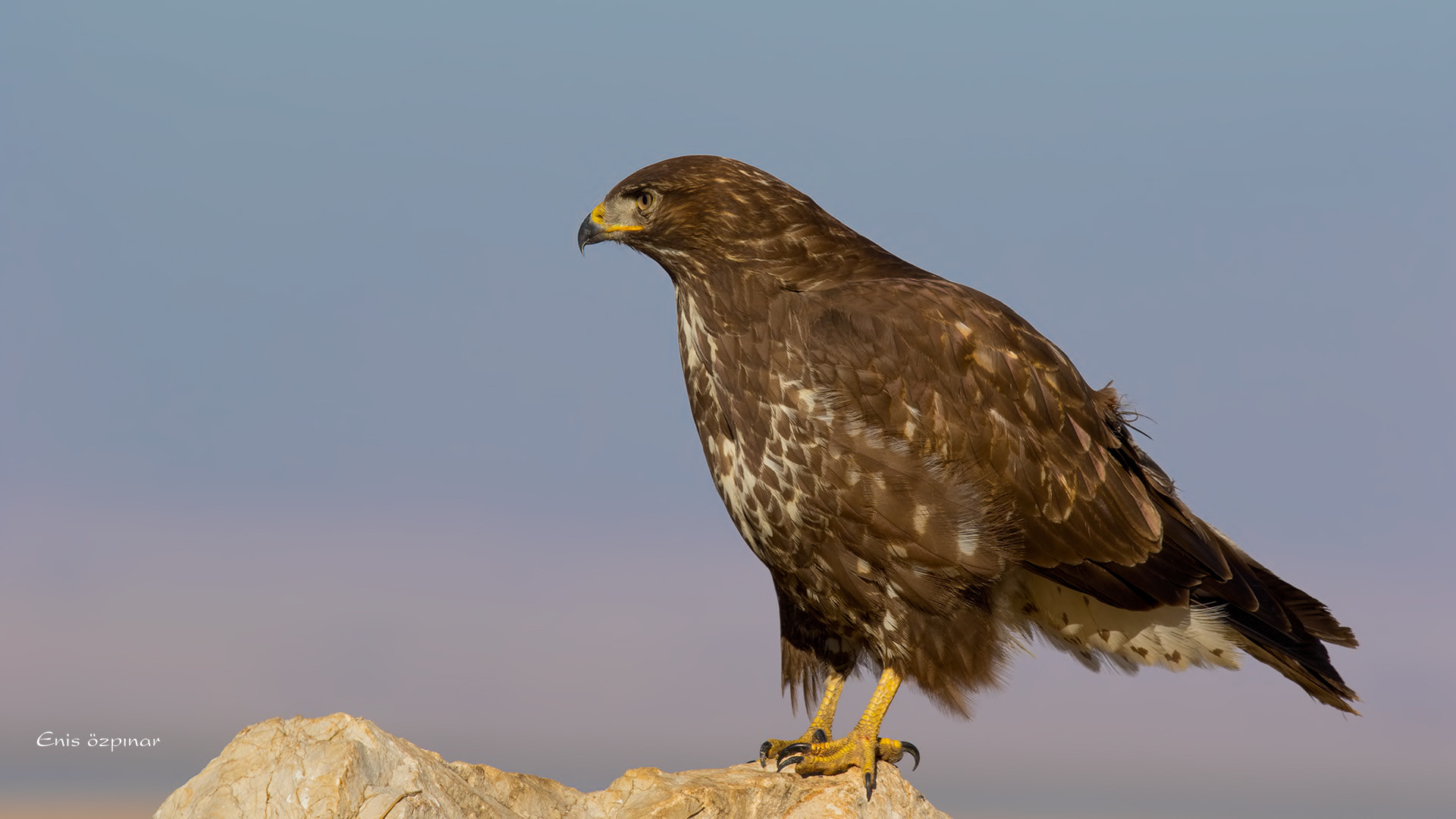 Canon EF 400mm F2.8L IS USM sample photo. Img photography