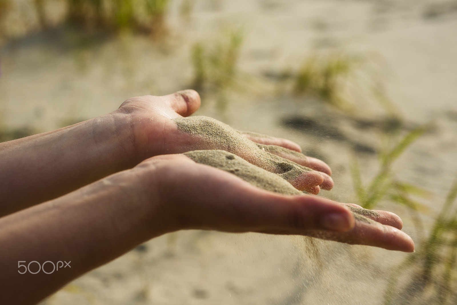 Nikon D800 + Nikon AF Micro-Nikkor 60mm F2.8D sample photo. Pink bermuda sand close up in the hands of a young photography