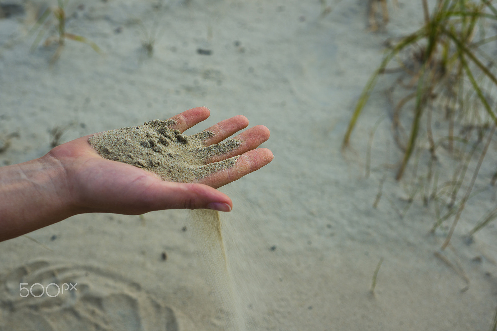 Nikon D800 + Nikon AF Micro-Nikkor 60mm F2.8D sample photo. Pink bermuda sand close up in the hands of a young photography