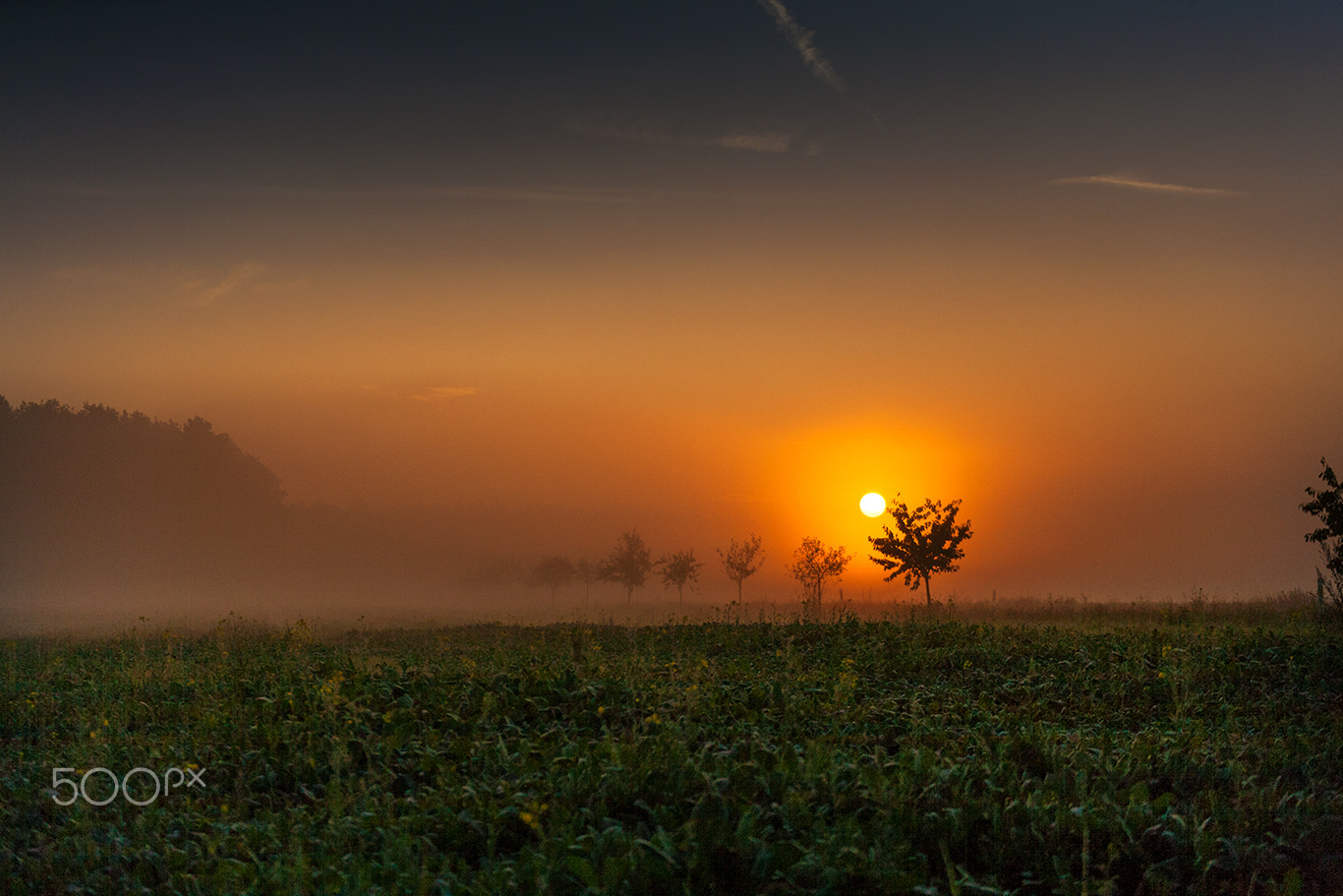 Tamron SP 35mm F1.8 Di VC USD sample photo. Morning fog and sun photography