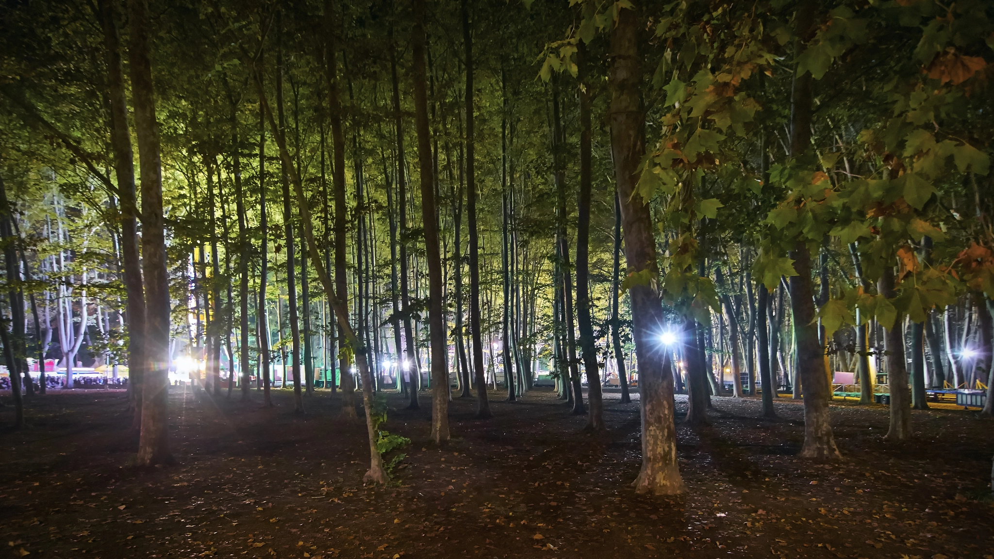 Tokina AT-X Pro 11-16mm F2.8 DX II sample photo. Holidays photography