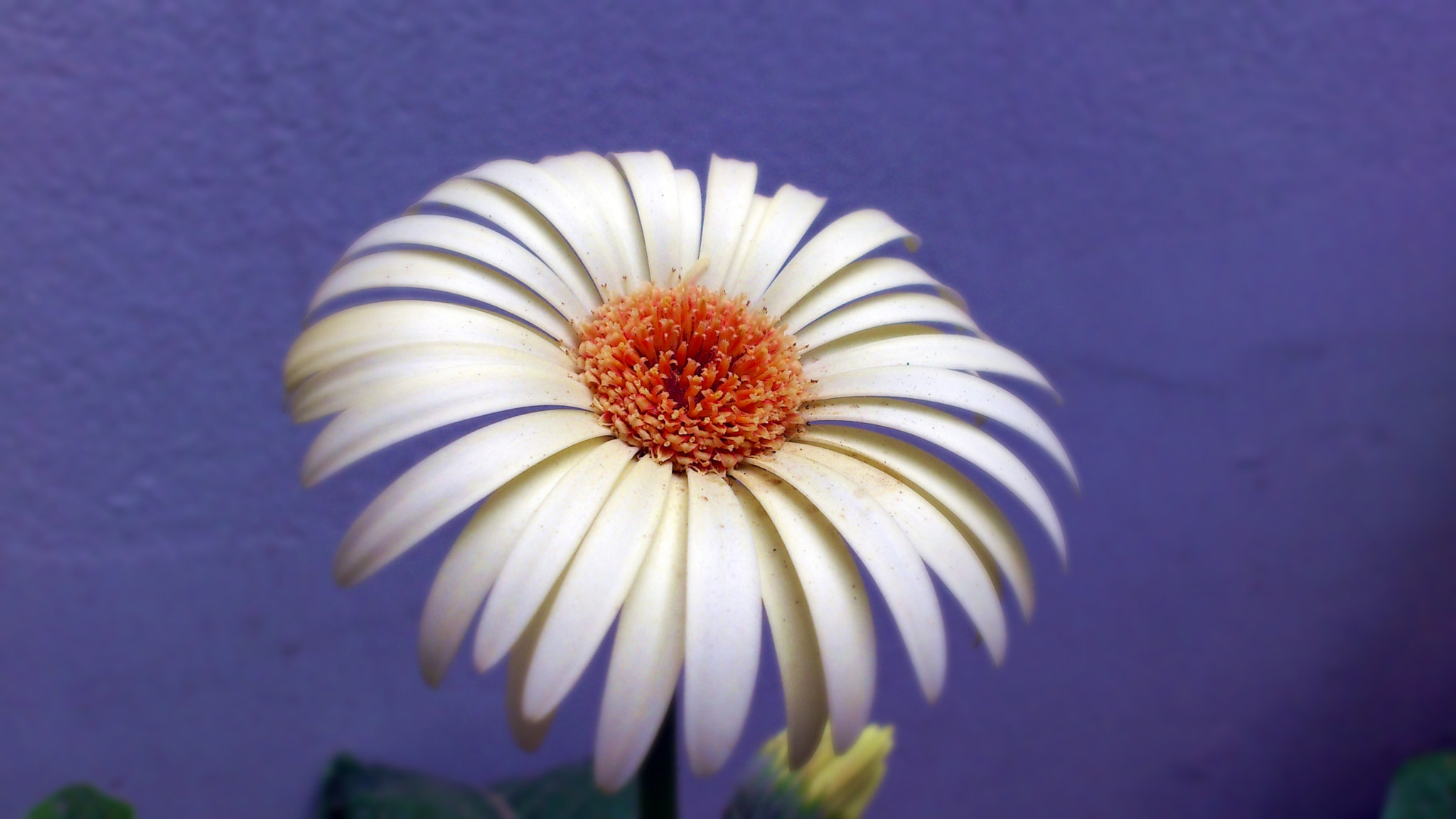 Sony Ericsson Xperia arc S sample photo