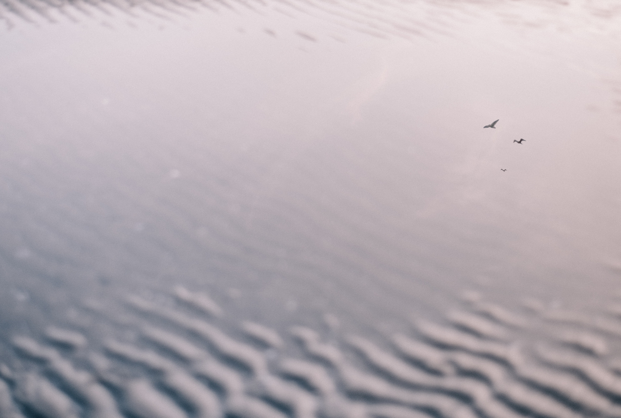 ZEISS Planar T* 50mm F1.4 sample photo. Sea the reflection photography