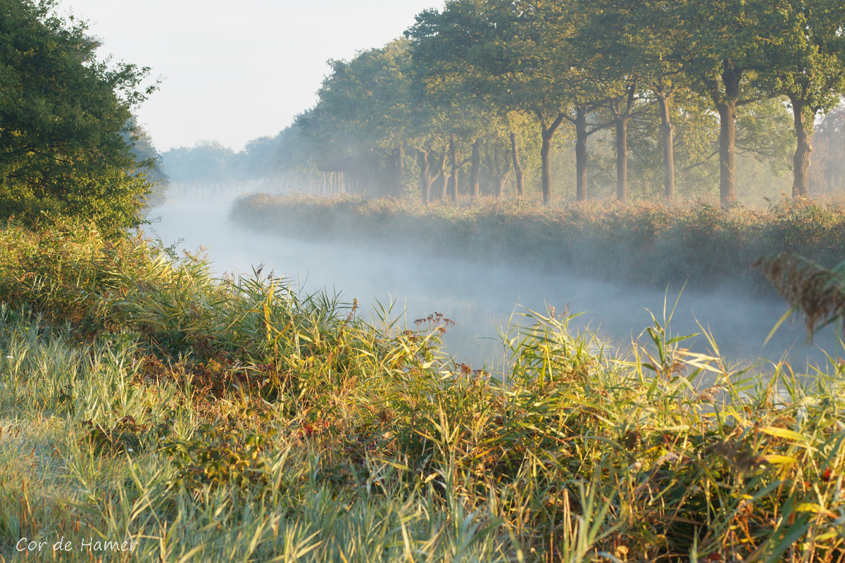 Sony SLT-A77 + Tamron SP AF 90mm F2.8 Di Macro sample photo. Foggy canal photography
