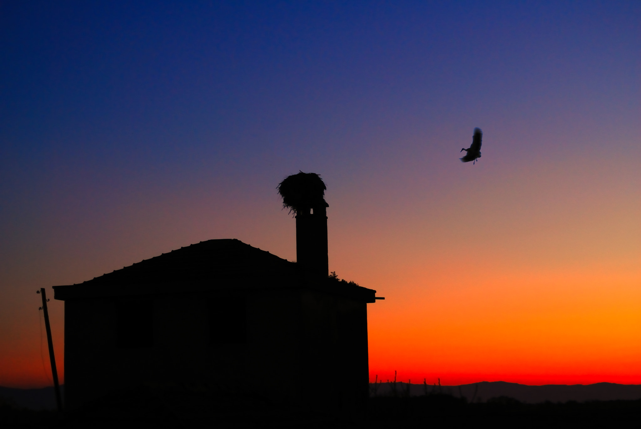 Sigma 50-500mm F4-6.3 EX APO RF HSM sample photo. Landing photography