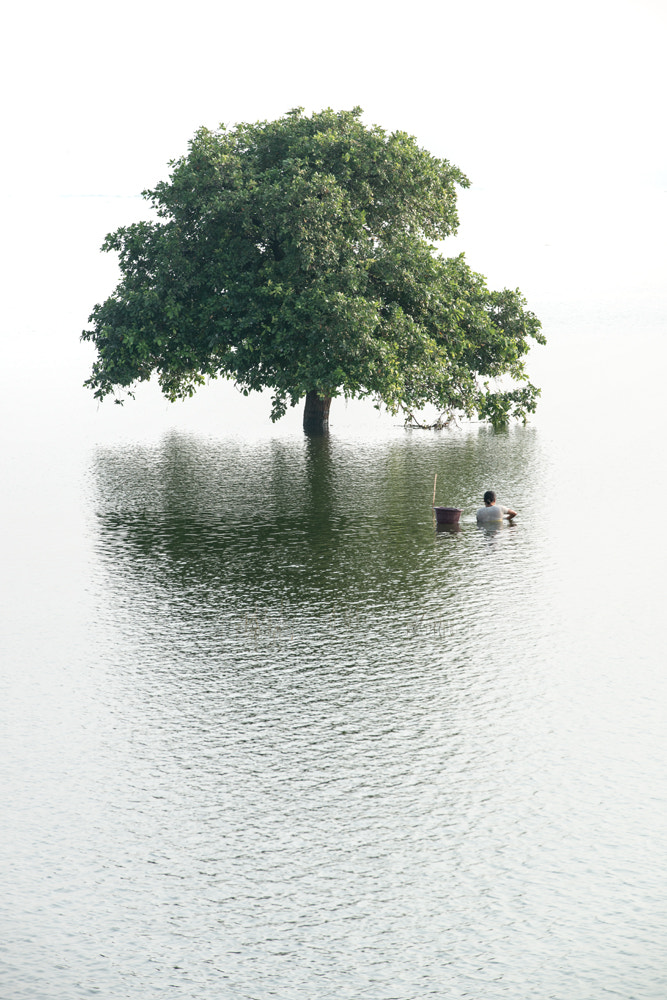 AF-S Zoom-Nikkor 80-200mm f/2.8D IF-ED sample photo. Water reflections photography