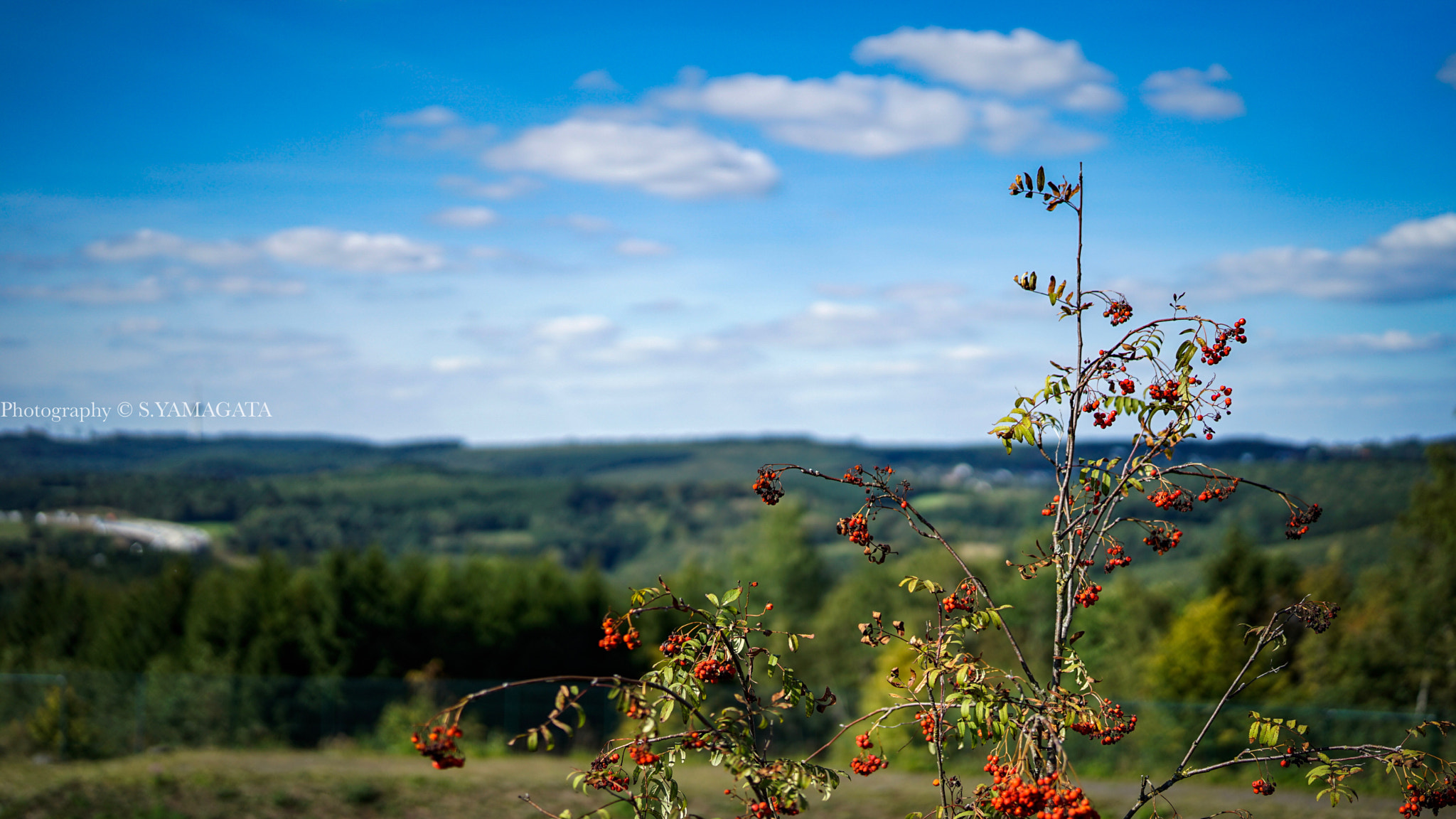 Sony Planar T* FE 50mm F1.4 ZA sample photo. Sky photography
