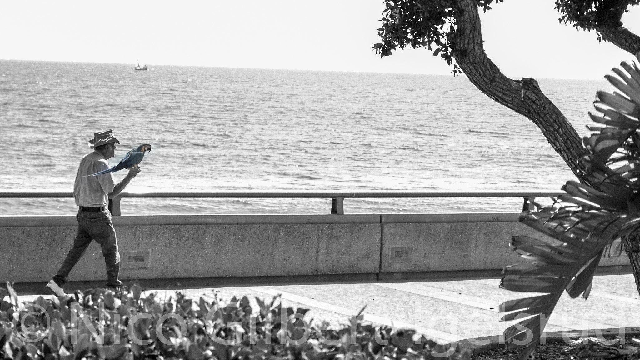 OLYMPUS 14-42mm Lens sample photo. Man with bird photography