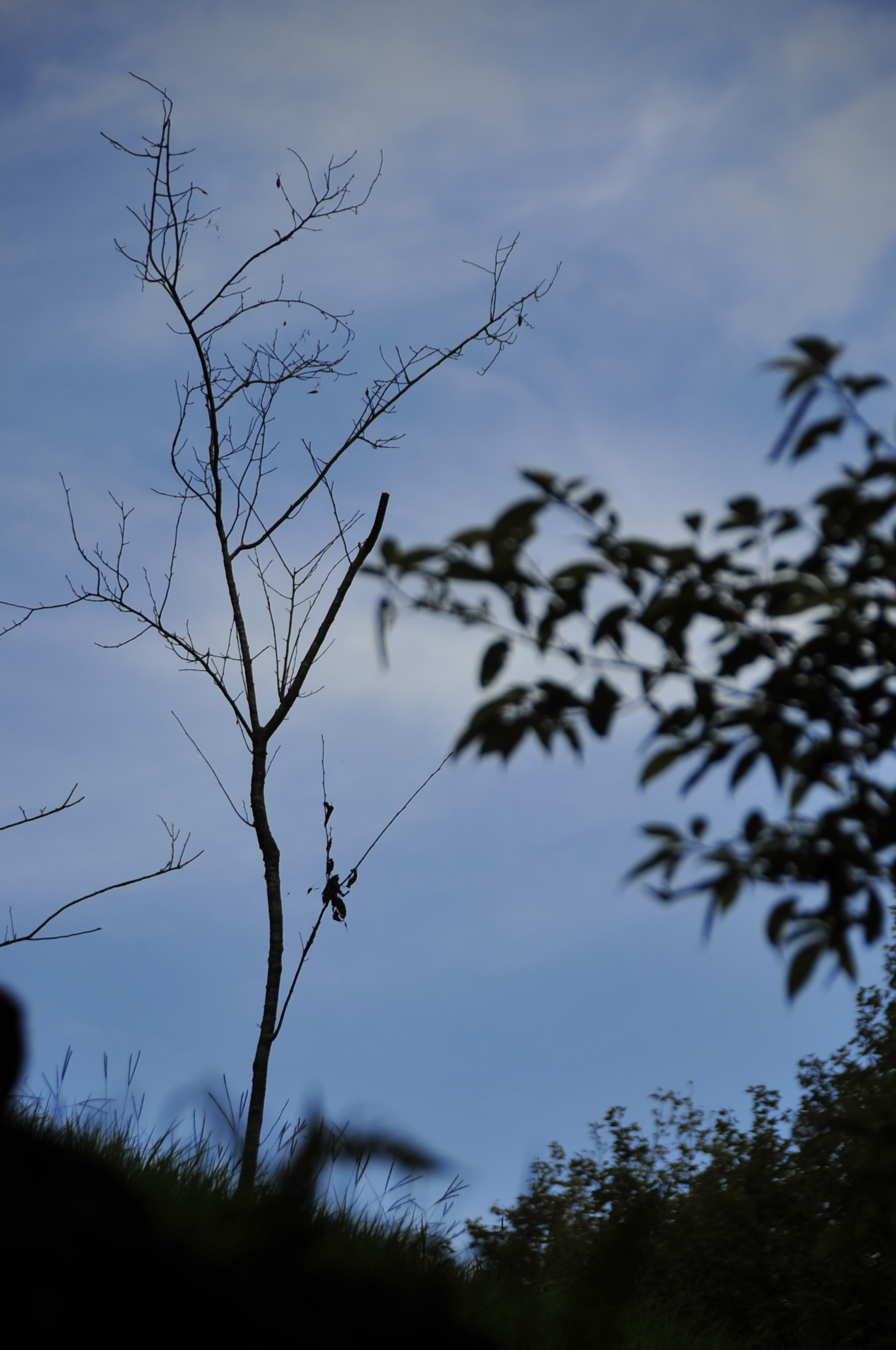 Nikon D3 sample photo. .. photography
