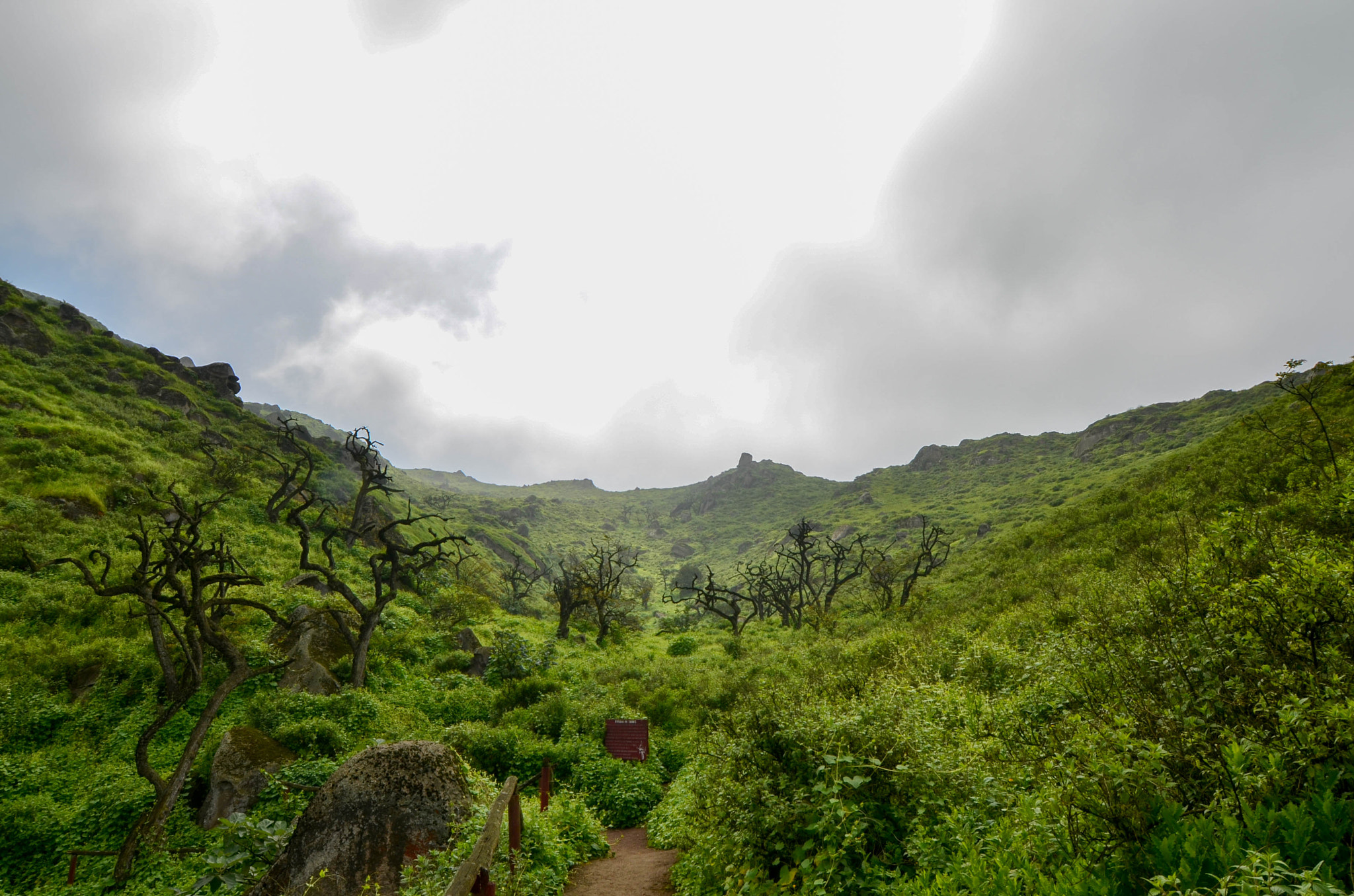 Nikon AF-S Nikkor 14-24mm F2.8G ED sample photo. Lomas de lachay photography