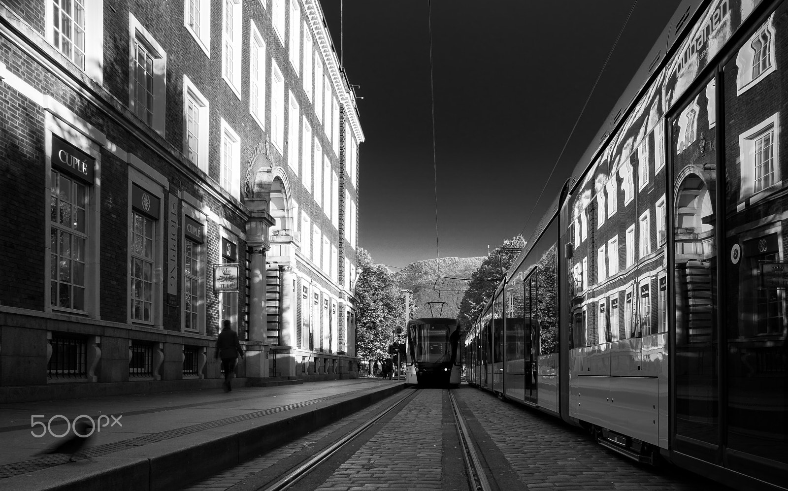 Sony a7 + Sigma 19mm F2.8 EX DN sample photo. Bybanen vs pavement crow and man photography