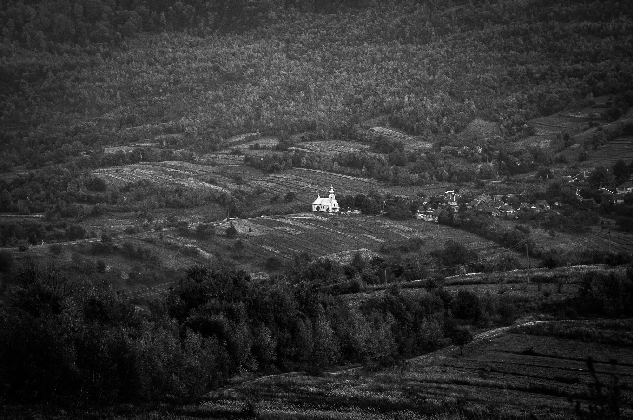 Nikon AF-S Micro-Nikkor 105mm F2.8G IF-ED VR sample photo. The white in the night. Біла в ночі. photography