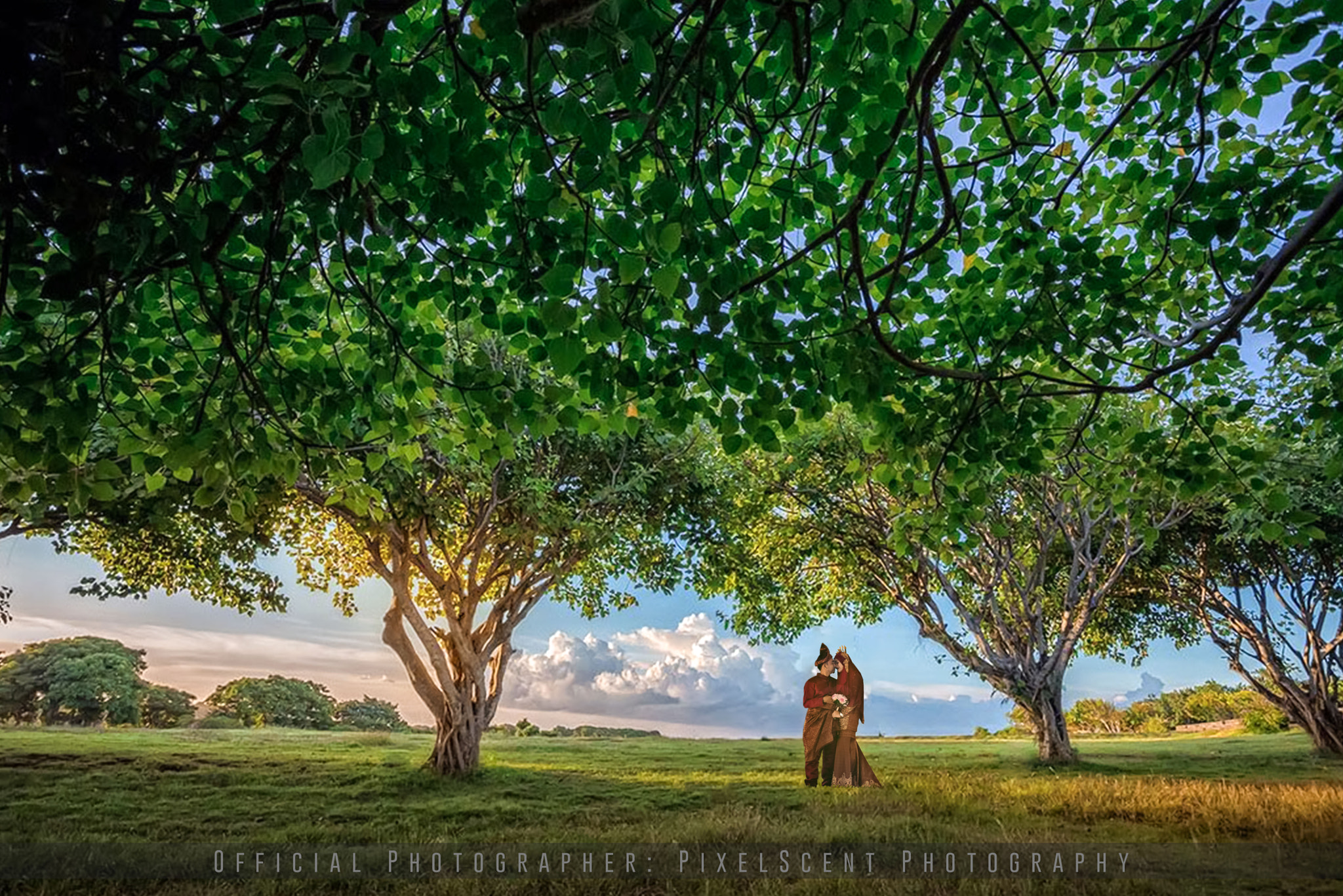 Nikon D750 + Sigma 50mm F1.4 EX DG HSM sample photo. Love || nature photography