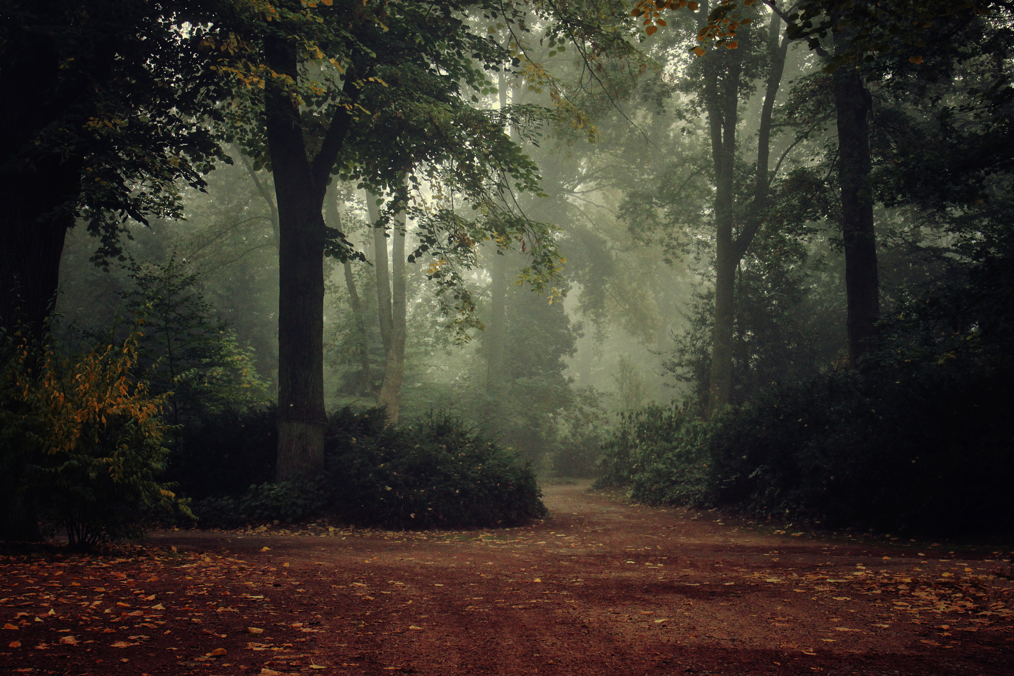 Canon EF 24-70mm F4L IS USM sample photo. **autumn way** photography