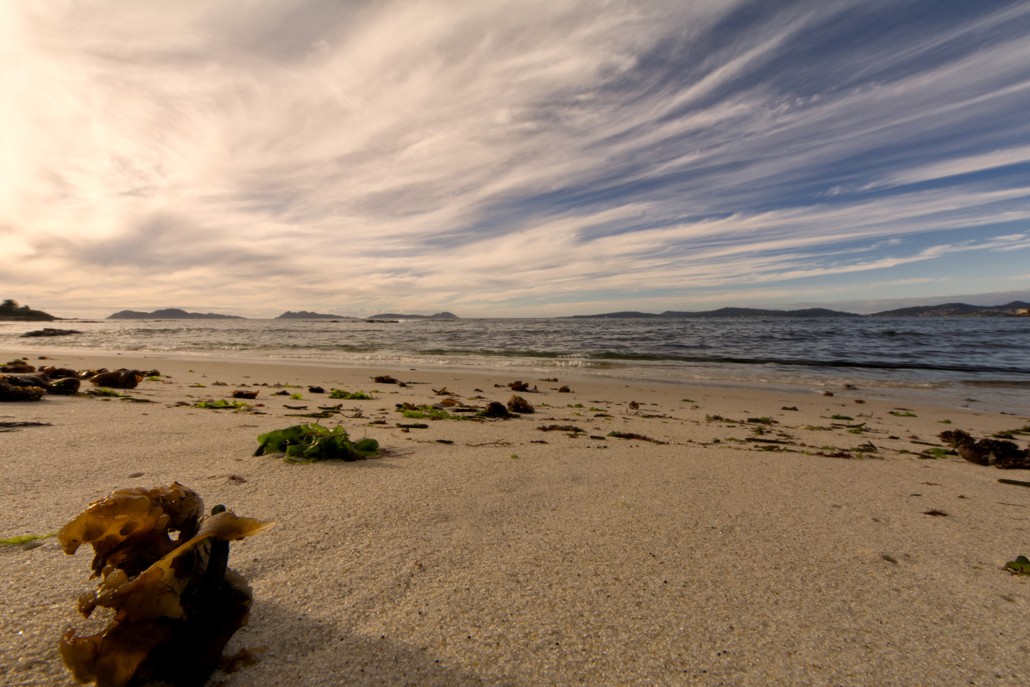 Sigma 8-16mm F4.5-5.6 DC HSM sample photo. Waiting for the sunset photography