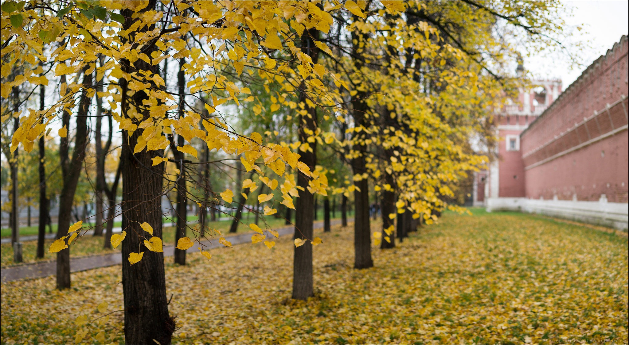 Panasonic Lumix DMC-G3 + Panasonic Leica DG Summilux 25mm F1.4 II ASPH sample photo. Russia. moscow. autumn near donskoy monastery. photography