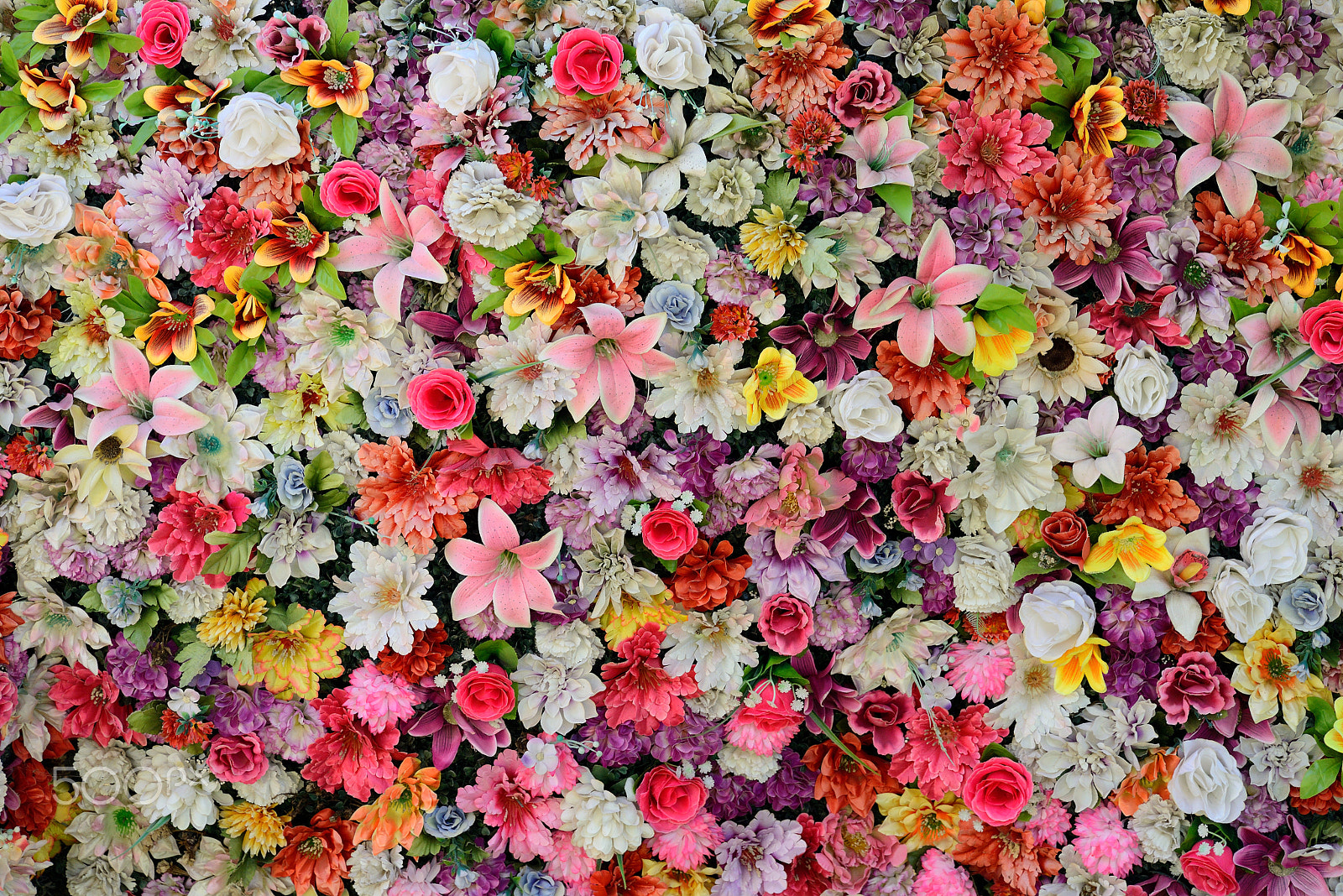 Nikon Nikkor AF-S 300mm F4E PF ED VR sample photo. Wall of flowers photography