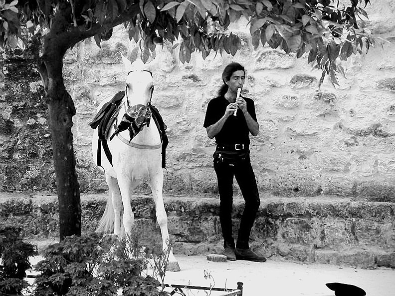 Fujifilm FinePix S602 ZOOM sample photo. Horse and musician cordoba photography