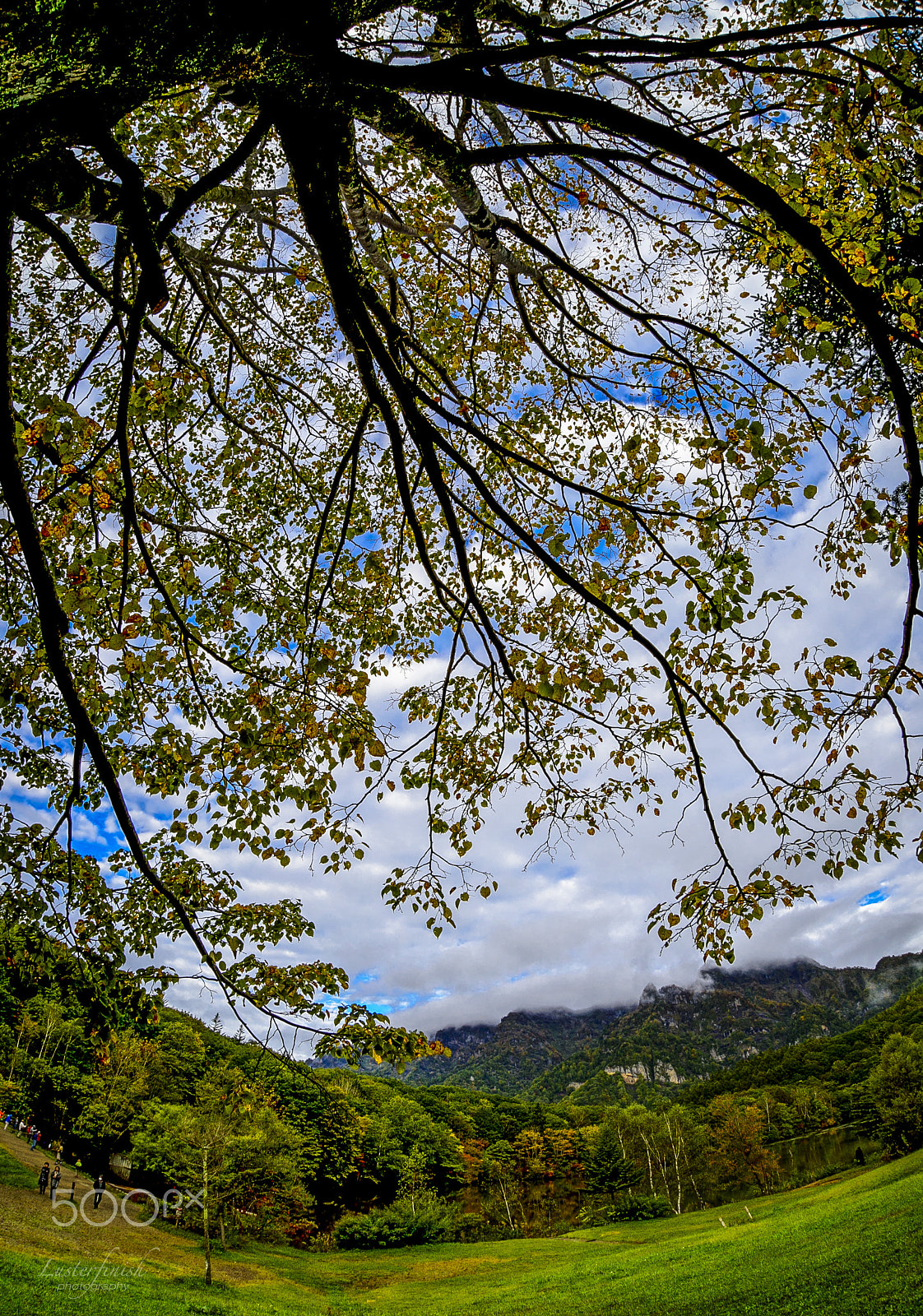 Nikon D810 + Sigma 15mm F2.8 EX DG Diagonal Fisheye sample photo. Highland photography