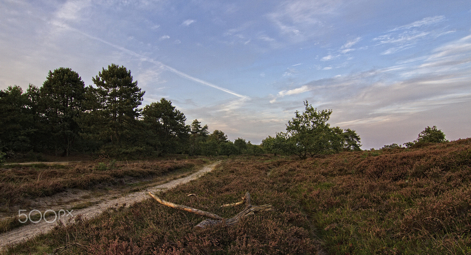 Canon EOS 7D + Tokina AT-X Pro 12-24mm F4 (IF) DX sample photo. Autumn in the heath photography